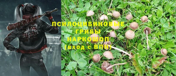 экстази Алзамай